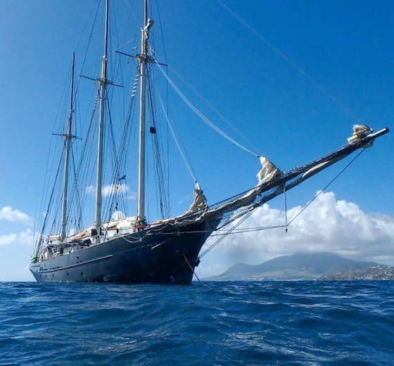 Image result for 90's clipper boat