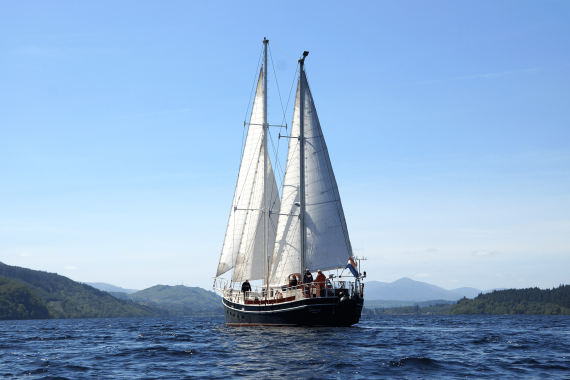 Steady Full Sail